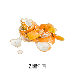 감귤과피